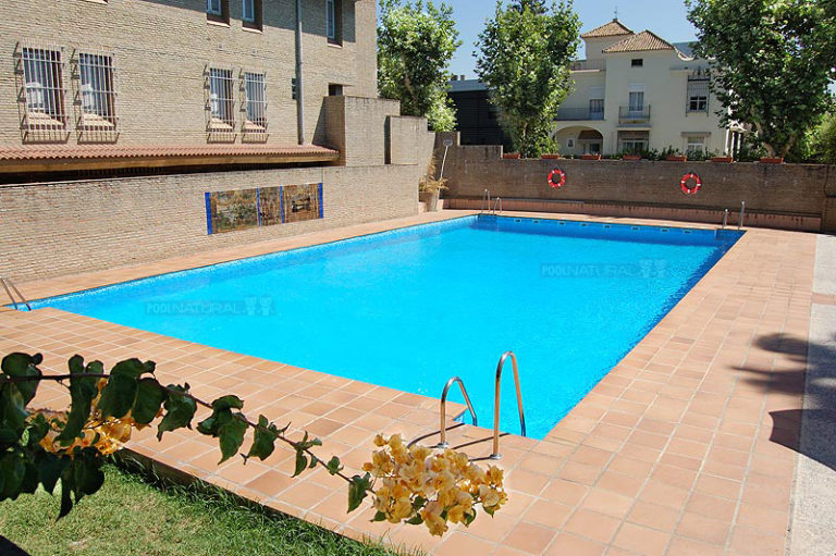 Piscina rectangular poolnatural